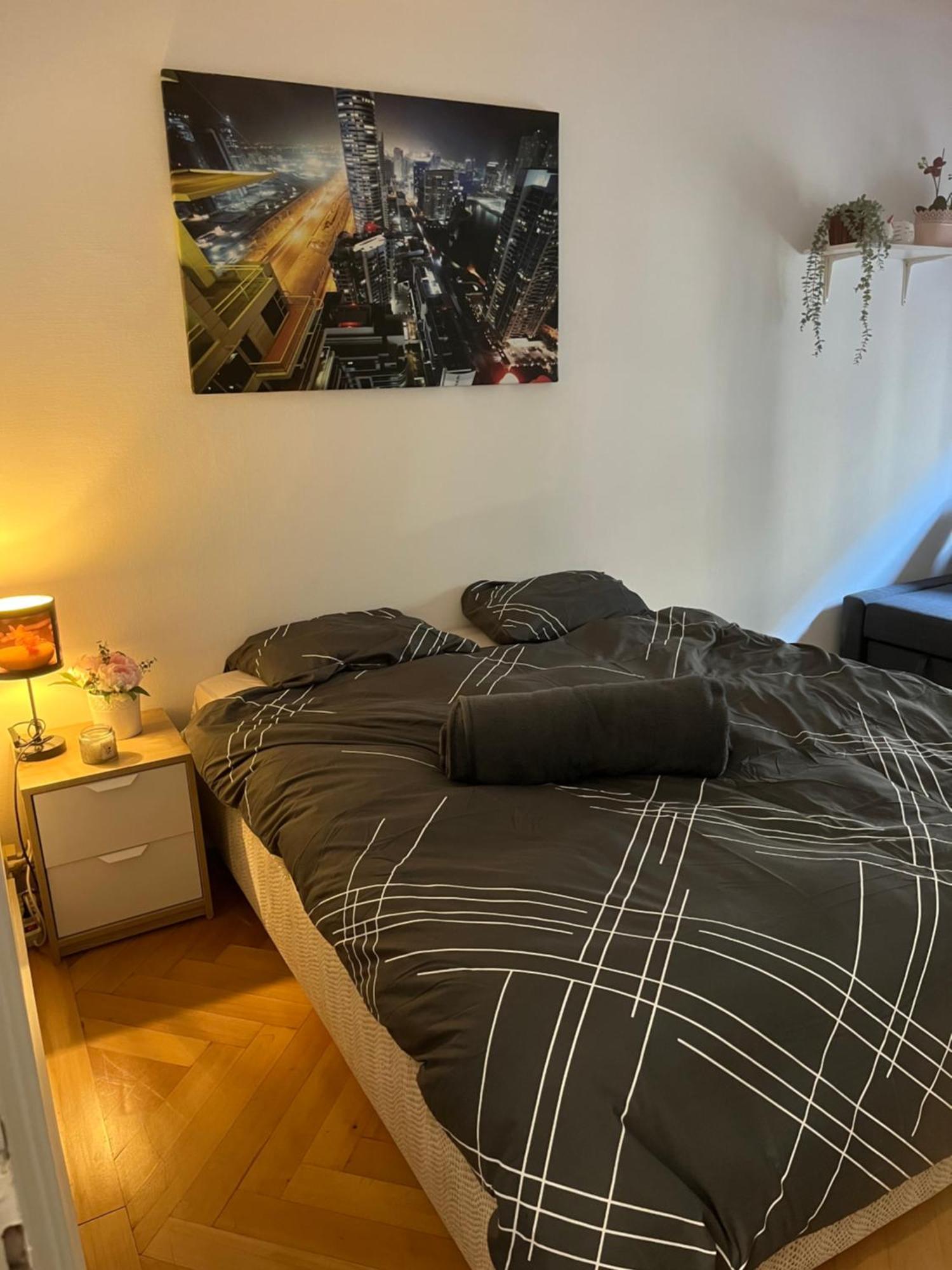 Apartment Super A Plaimpalais *